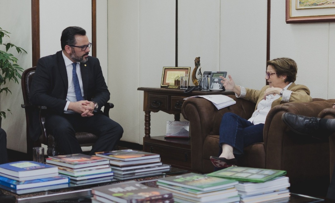 Deputado Alan Rick intercede por indústrias acreanas em videoconferência com ministra Tereza Cristina 